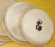 Conga Skins, Drum heads, and Drum supplies